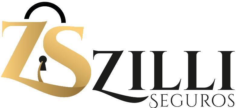 Logo-zilli