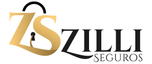 Logo-zilli